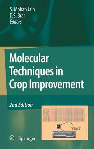 Cover image for Molecular Techniques in Crop Improvement: 2nd Edition