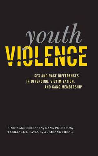 Cover image for Youth Violence: Sex and Race Differences in Offending, Victimization, and Gang Membership