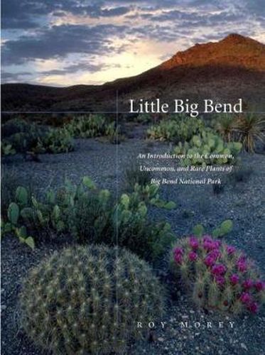 Cover image for Little Big Bend: Common, Uncommon, and Rare Plants of Big Bend National Park