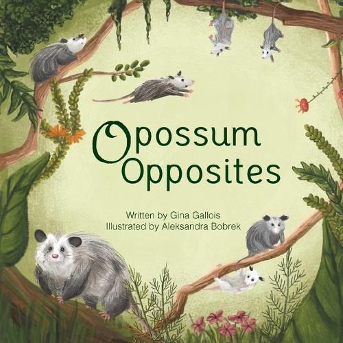 Cover image for Opossum Opposites