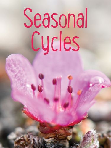 Cover image for Seasonal Cycles: English Edition