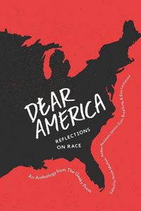Cover image for Dear America: Reflections on Race