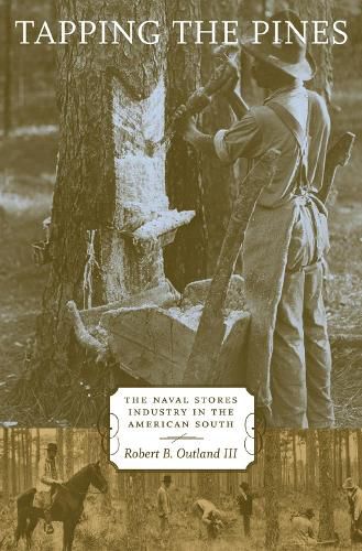 Cover image for Tapping the Pines: The Naval Stores Industry in the American South