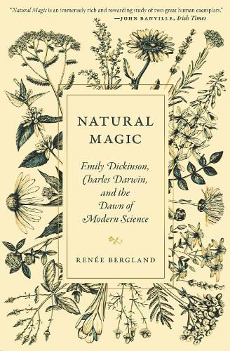 Cover image for Natural Magic