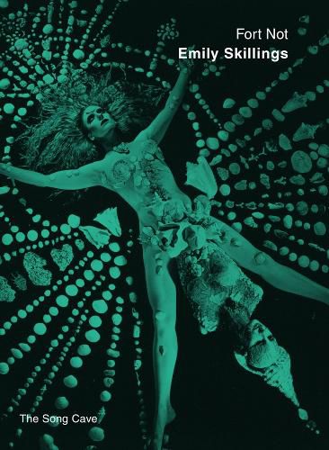 Cover image for Fort Not