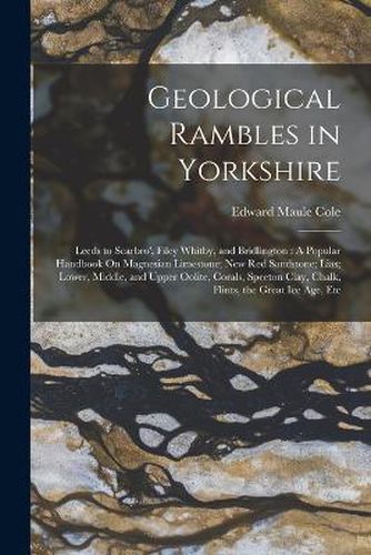 Cover image for Geological Rambles in Yorkshire