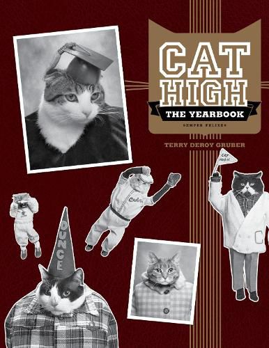 Cover image for Cat High: The Yearbook