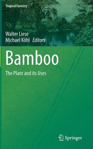 Cover image for Bamboo: The Plant and its Uses