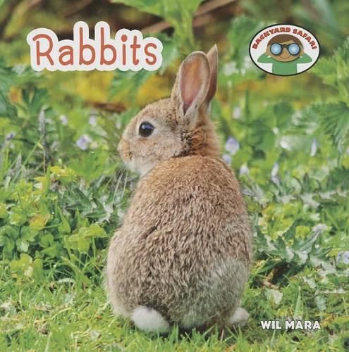 Cover image for Rabbits