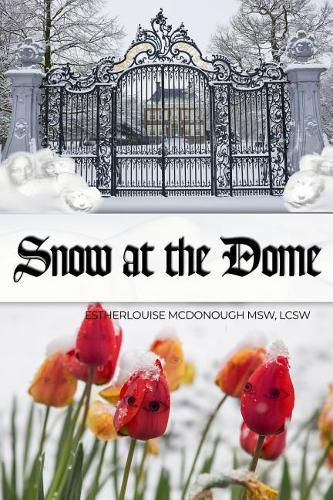 Cover image for Snow at the Dome