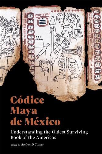 Cover image for Codice Maya de Mexico: Understanding the Oldest Surviving Book of the Americas