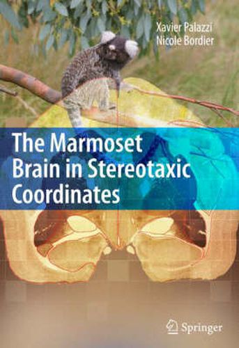 Cover image for The Marmoset Brain in Stereotaxic Coordinates