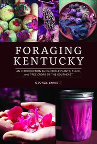 Cover image for Foraging Kentucky