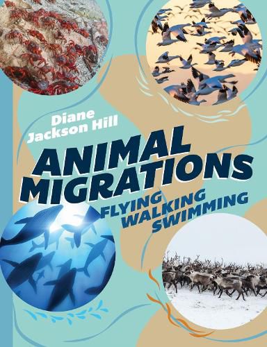 Animal Migrations: Flying, Walking, Swimming