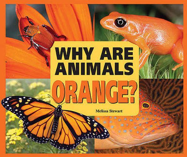 Why are Animals Orange?