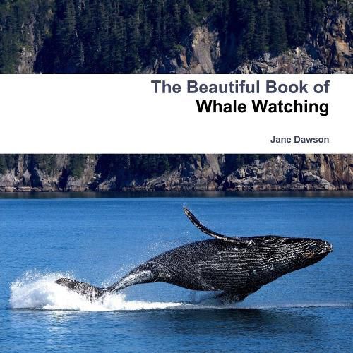 Cover image for The Beautiful Book of Whale Watching