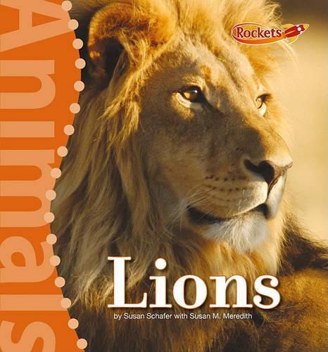 Cover image for Lions