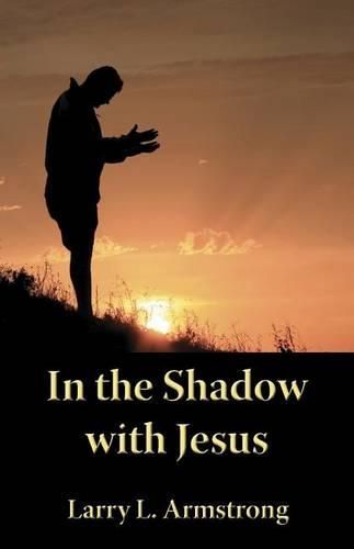 Cover image for In the Shadow with Jesus: A Look at the High Priestly Prayer of John 17