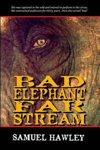 Cover image for Bad Elephant Far Stream