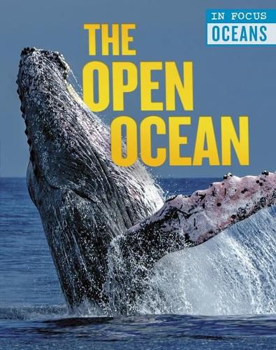 Cover image for The Open Ocean