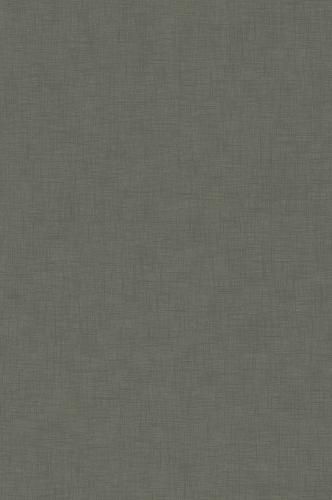 Cover image for The Judicial Dictionary of Words and Phrases Judicially Interpreted [1890]