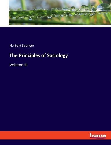 Cover image for The Principles of Sociology