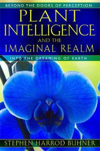 Cover image for Plant Intelligence and the Imaginal Realm: Beyond the Doors of Perception into the Dreaming of Earth