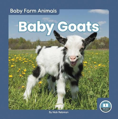 Cover image for Baby Goats