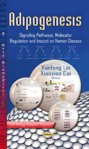 Cover image for Adipogenesis: Signaling Pathways, Molecular Regulation & Impact on Human Disease