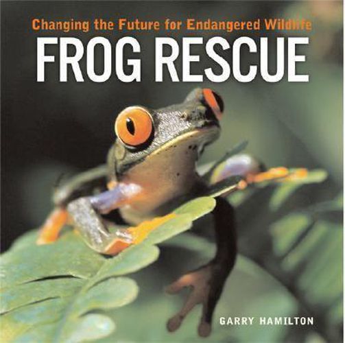 Cover image for Frog Rescue: Changing the Future for Endangered Wildlife