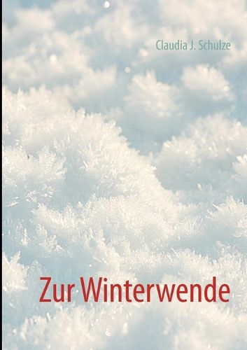 Cover image for Winterwende