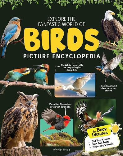 Cover image for Explore Fantastic World of Birds Picture Encyclopedia