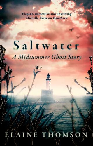 Cover image for Saltwater