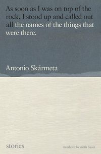 Cover image for The Names Of The Things That Were There