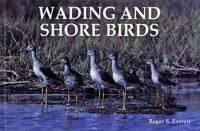 Cover image for Wading and Shore Birds