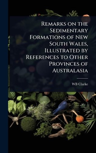 Cover image for Remarks on the Sedimentary Formations of New South Wales, Illustrated by References to Other Provinces of Australasia
