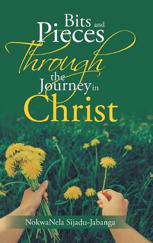 Cover image for Bits and Pieces Through the Journey in Christ