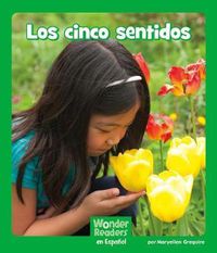 Cover image for Los Cinco Sentidos