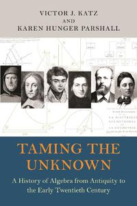 Cover image for Taming the Unknown: A History of Algebra from Antiquity to the Early Twentieth Century