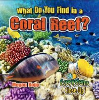 Cover image for What Do You Find in a Coral Reef?