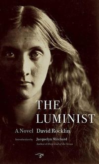 Cover image for The Luminist