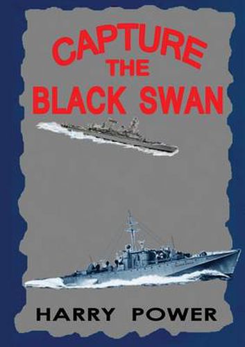 Cover image for Capture the Black Swan