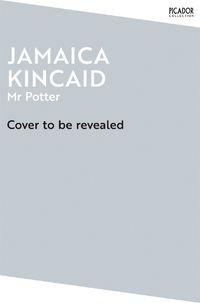 Cover image for Mr Potter