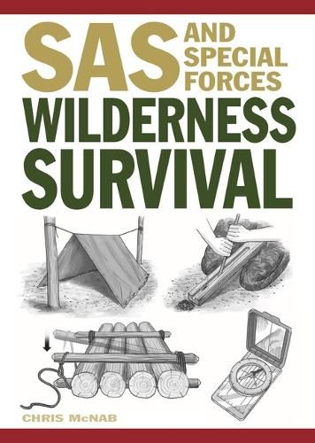 Cover image for Wilderness Survival