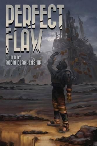 Cover image for Perfect Flaw