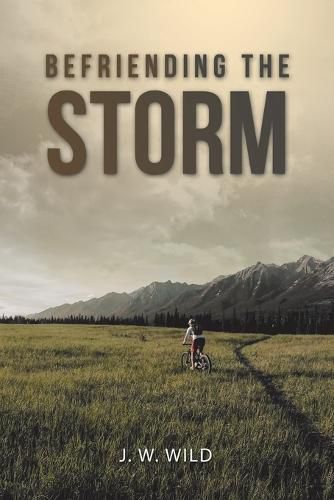 Cover image for Befriending the Storm