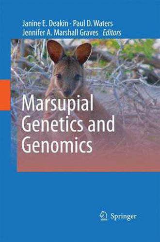 Cover image for Marsupial Genetics and Genomics