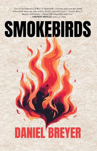 Cover image for Smokebirds