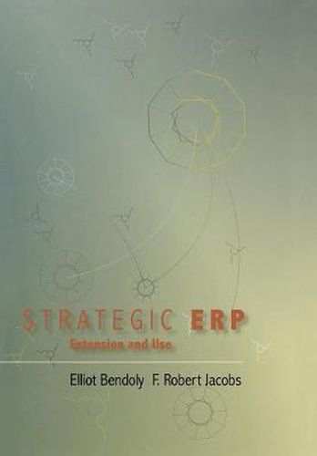 Strategic ERP Extension and Use