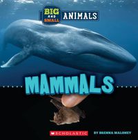 Cover image for Big and Small: Mammals (Wild World)